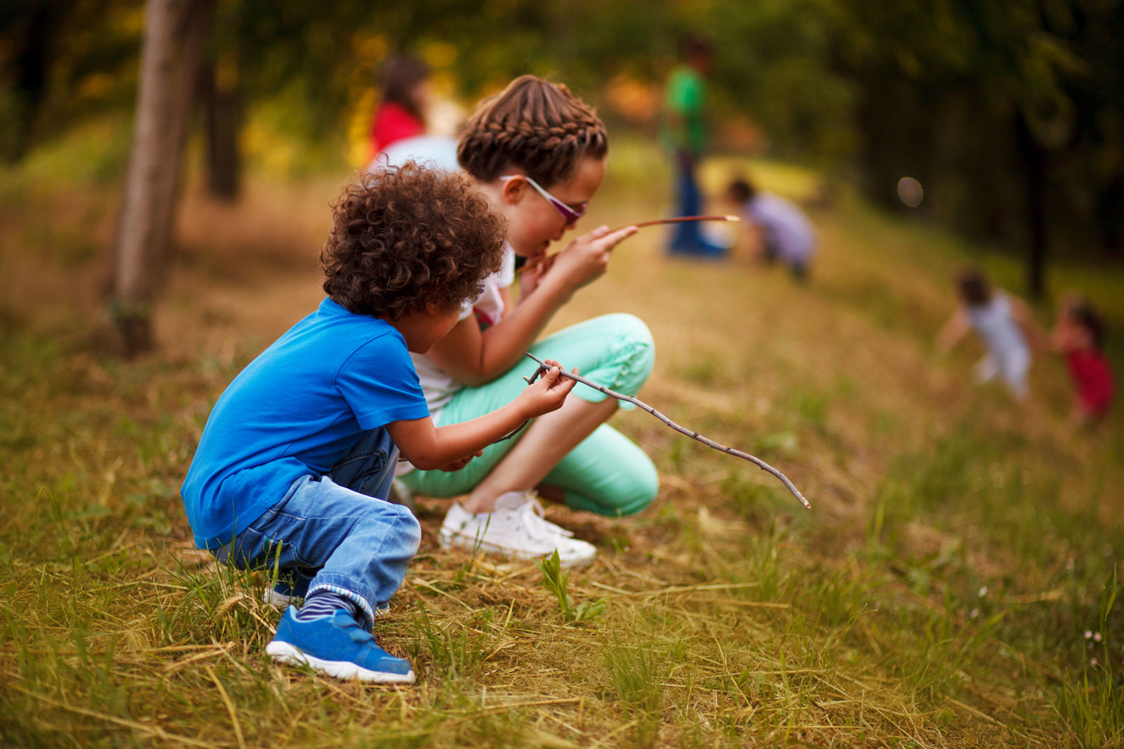 Growing Green Minds: The Global Rise of Forest Schools and Their Impact