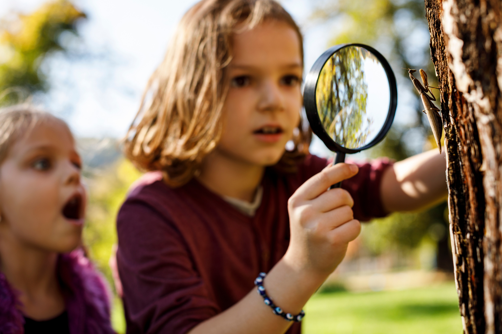 Children exploring nature with a magnifying glass, observing a grasshopper on a tree, while creating a nature journal and imagining stories inspired by their discovery.